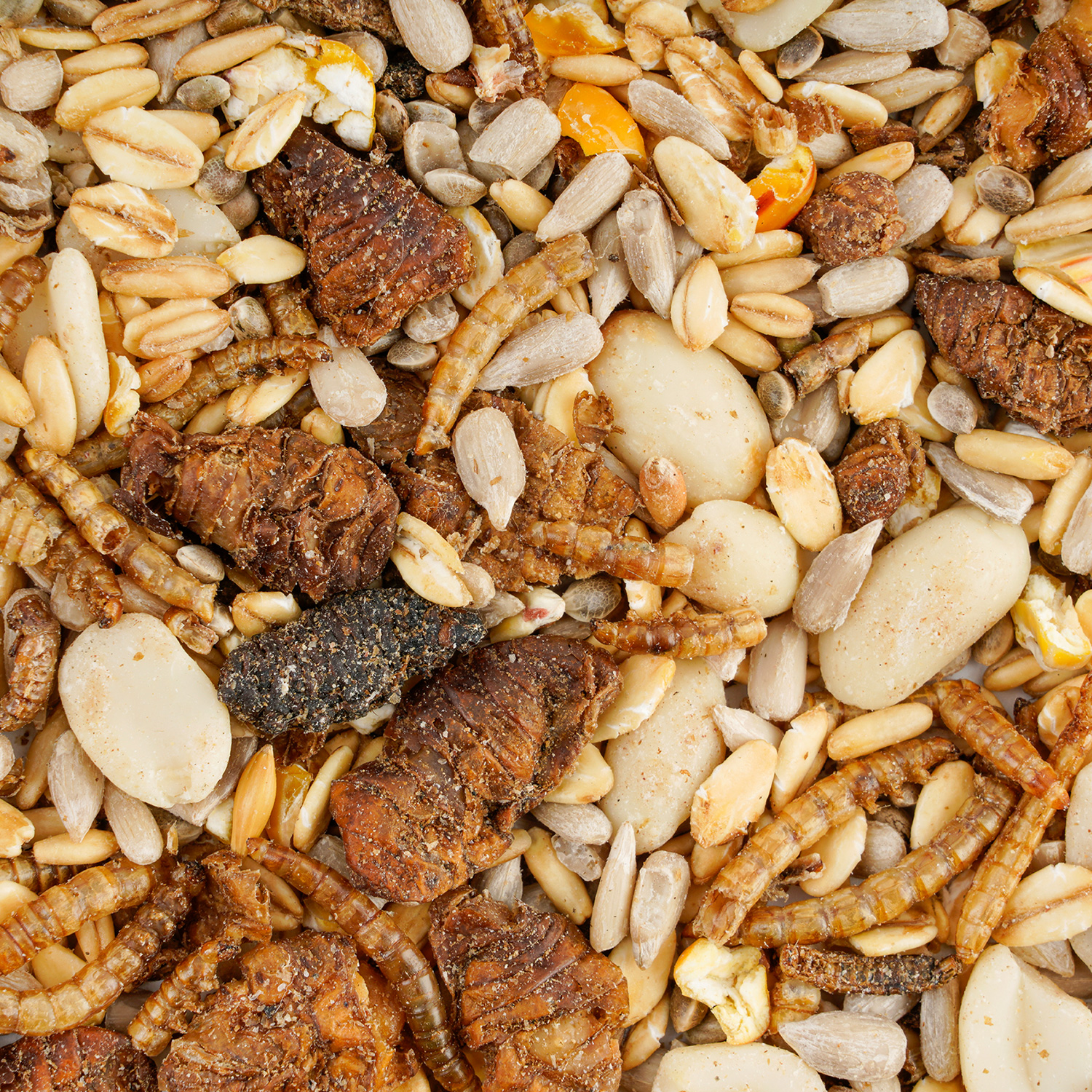 Wintercorn Mischfutter