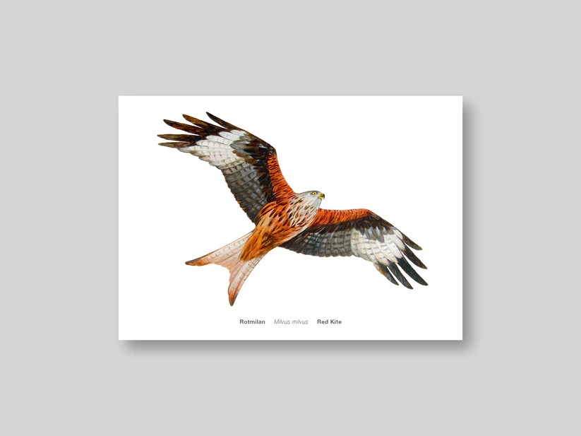 Postkarte Avichrom_rot