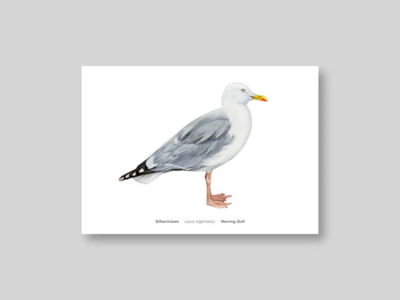Postkarte Avichrom_silber