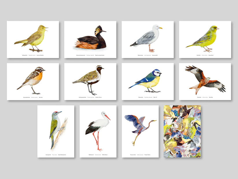 Postkarte Avichrom