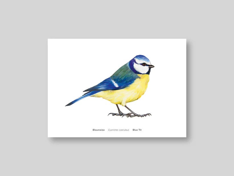 Postkarte Avichrom_blau